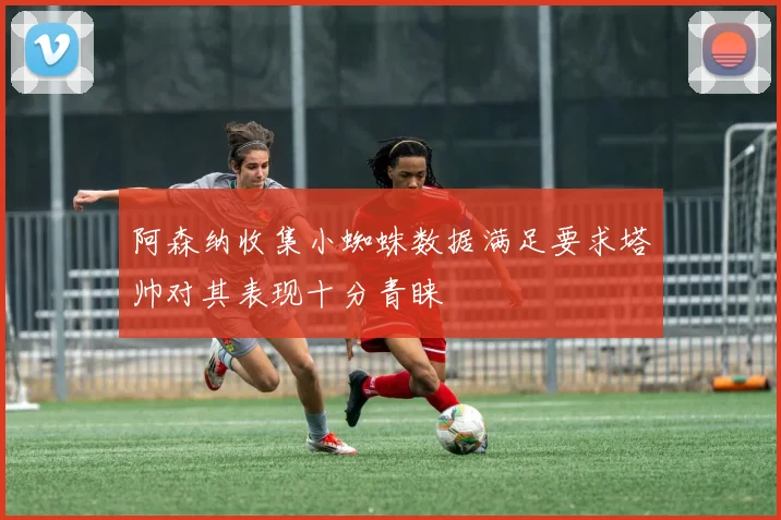 阿森纳收集小蜘蛛数据满足要求塔帅对其表现十分青睐