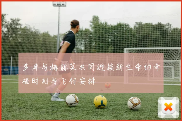 多库与梅赫莱共同迎接新生命的幸福时刻与飞行安排