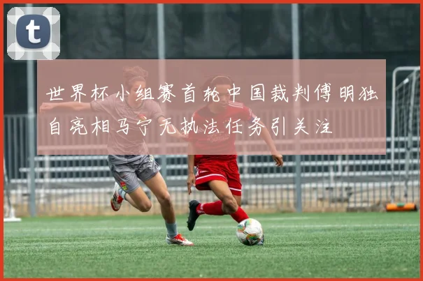 世界杯小组赛首轮中国裁判傅明独自亮相马宁无执法任务引关注