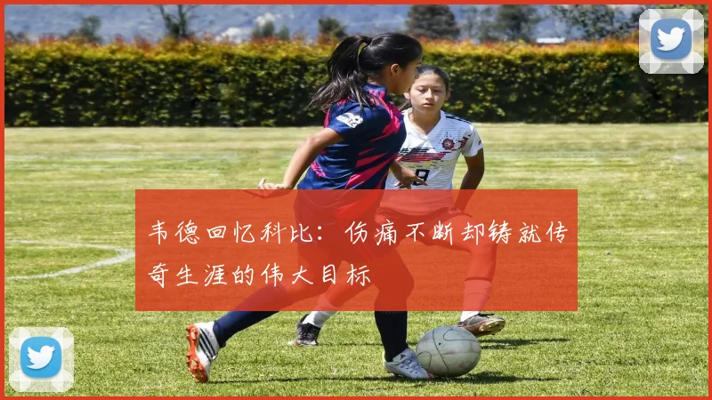 韦德回忆科比：伤痛不断却铸就传奇生涯的伟大目标